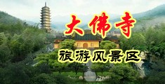 免费操逼免费中国浙江-新昌大佛寺旅游风景区